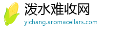 泼水难收网